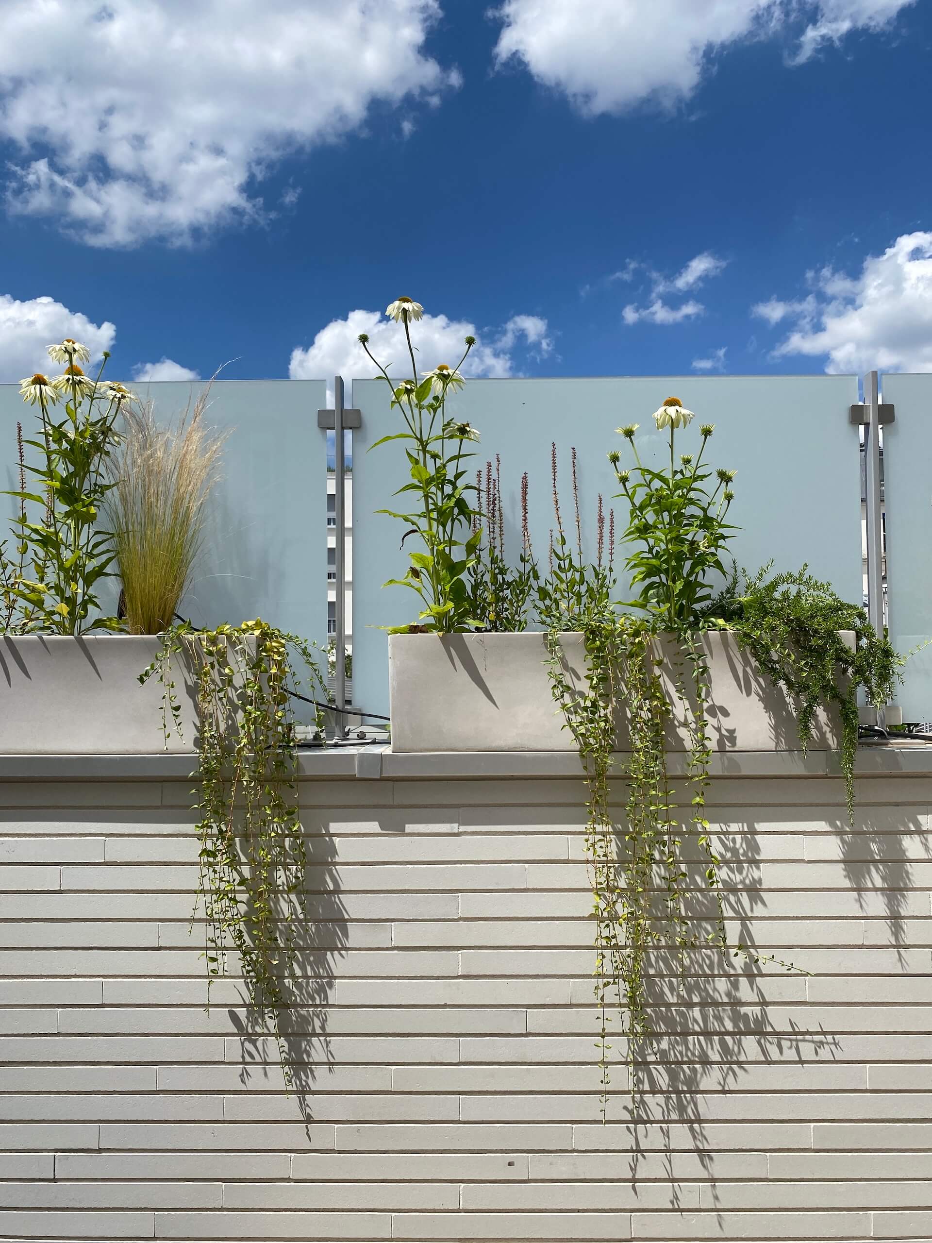 Sensations méridionales