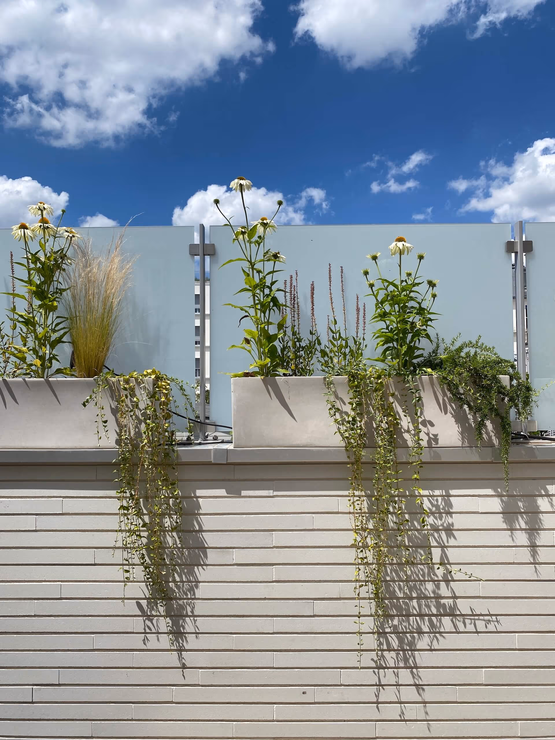 Sensations méridionales