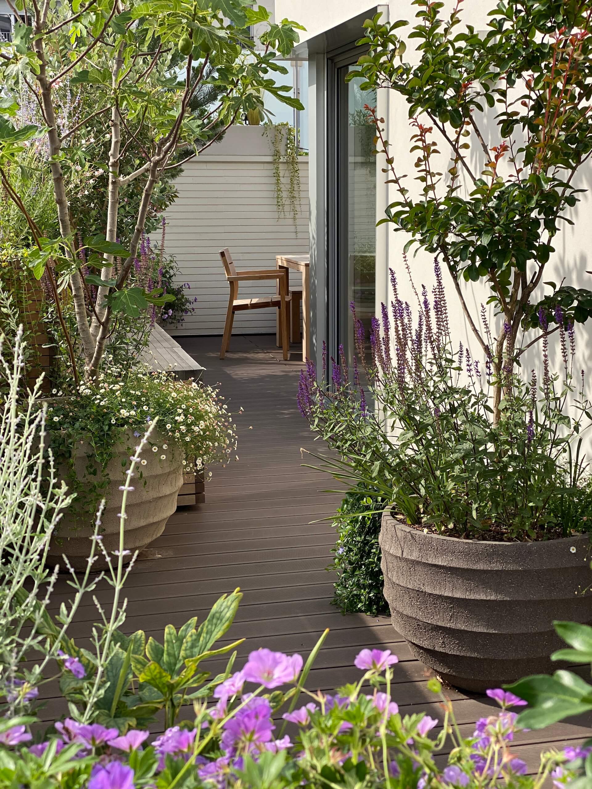 Sensations méridionales