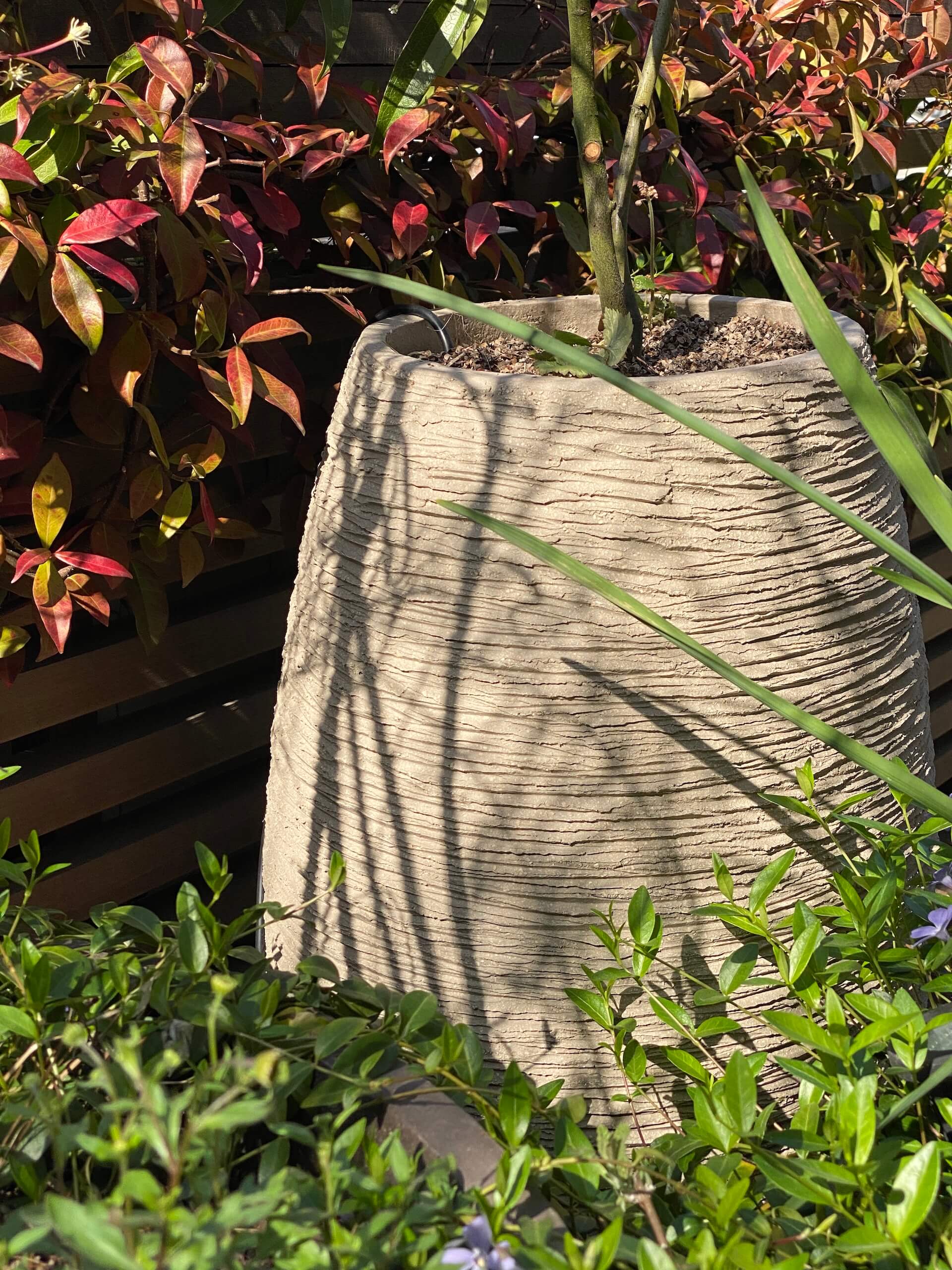 Sensations méridionales