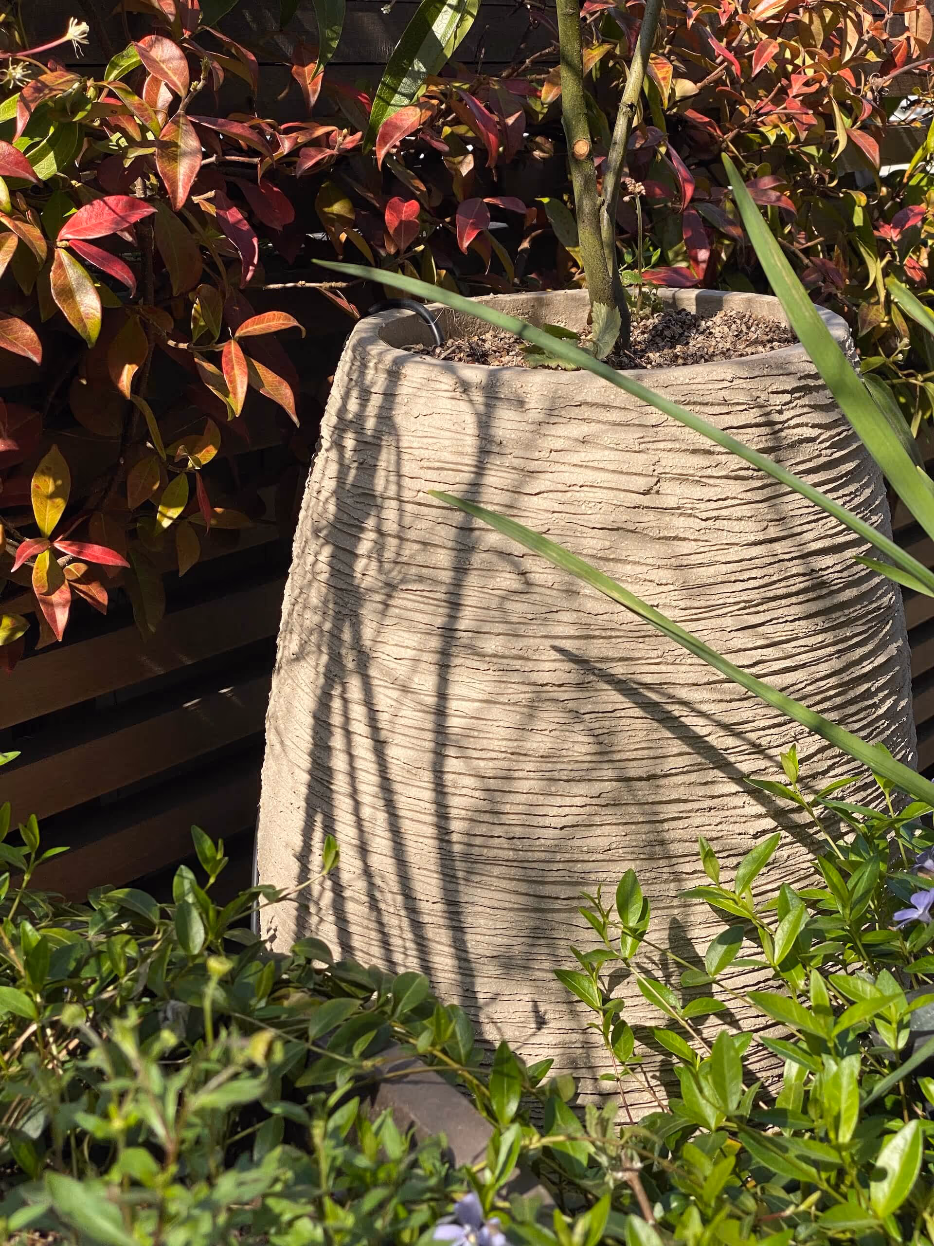 Sensations méridionales