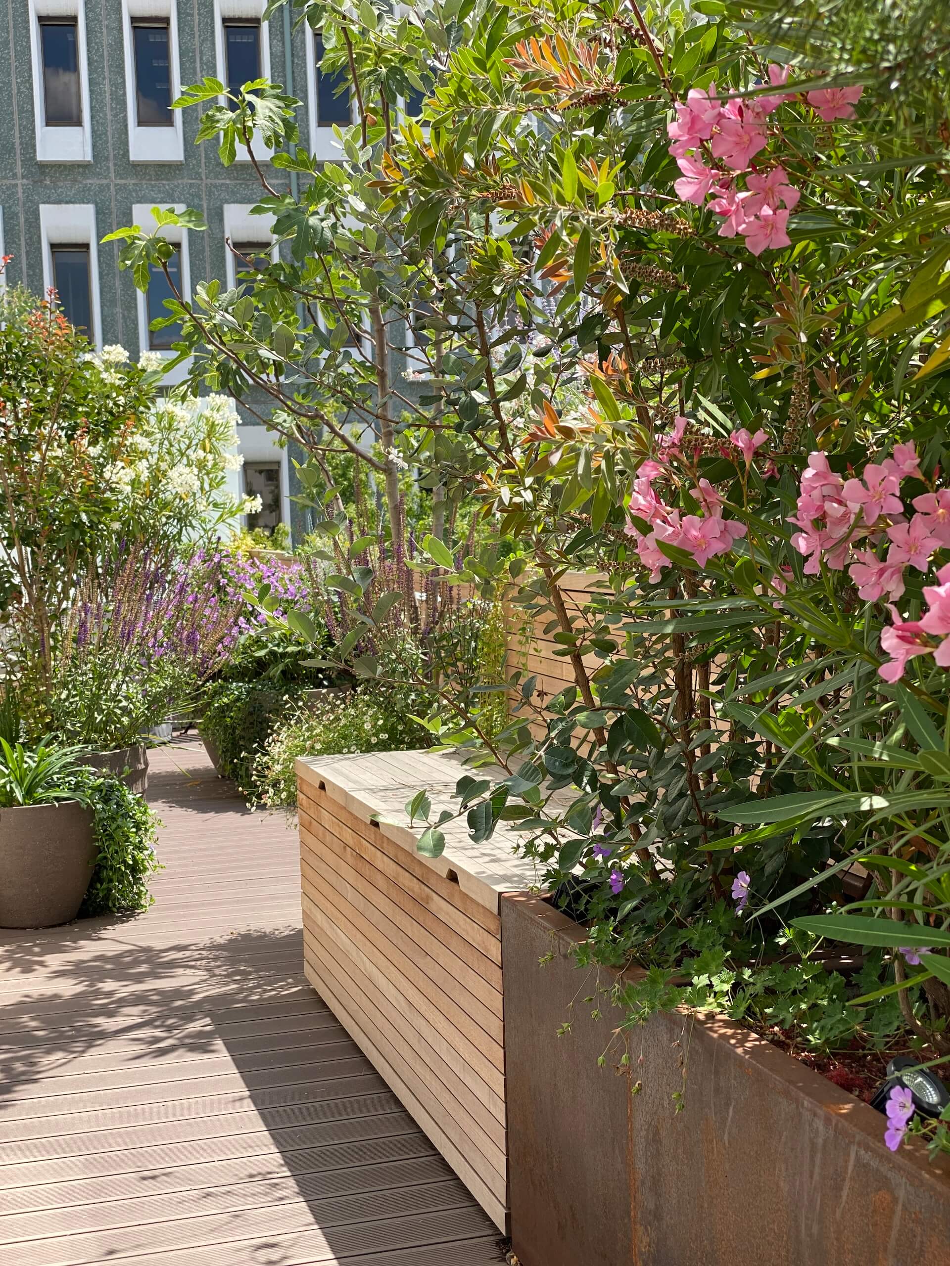 Sensations méridionales