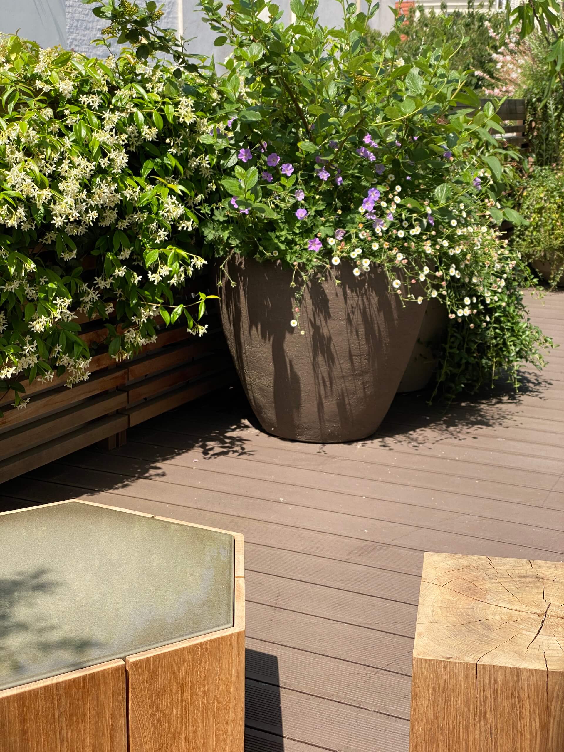 Sensations méridionales