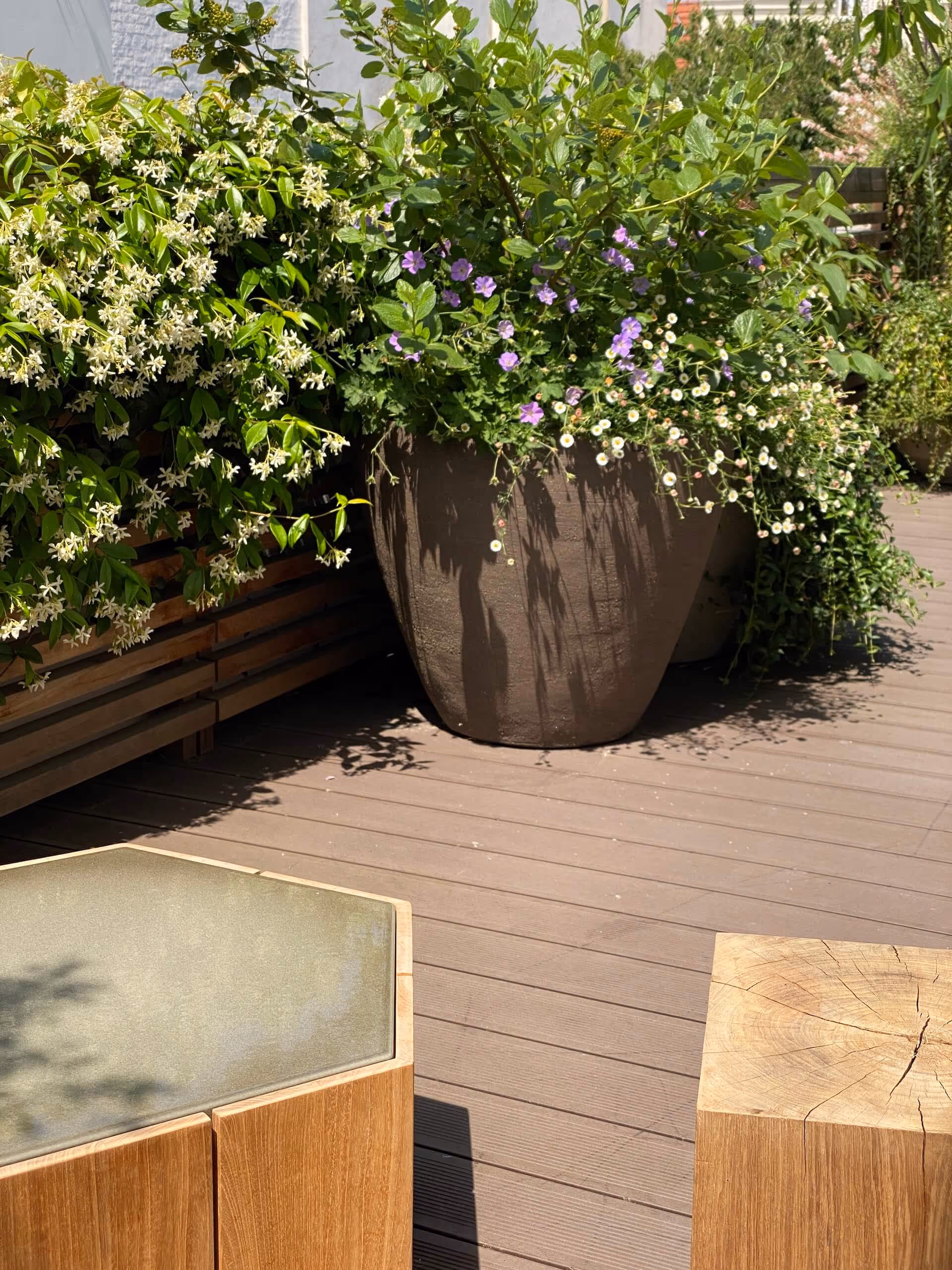 Sensations méridionales