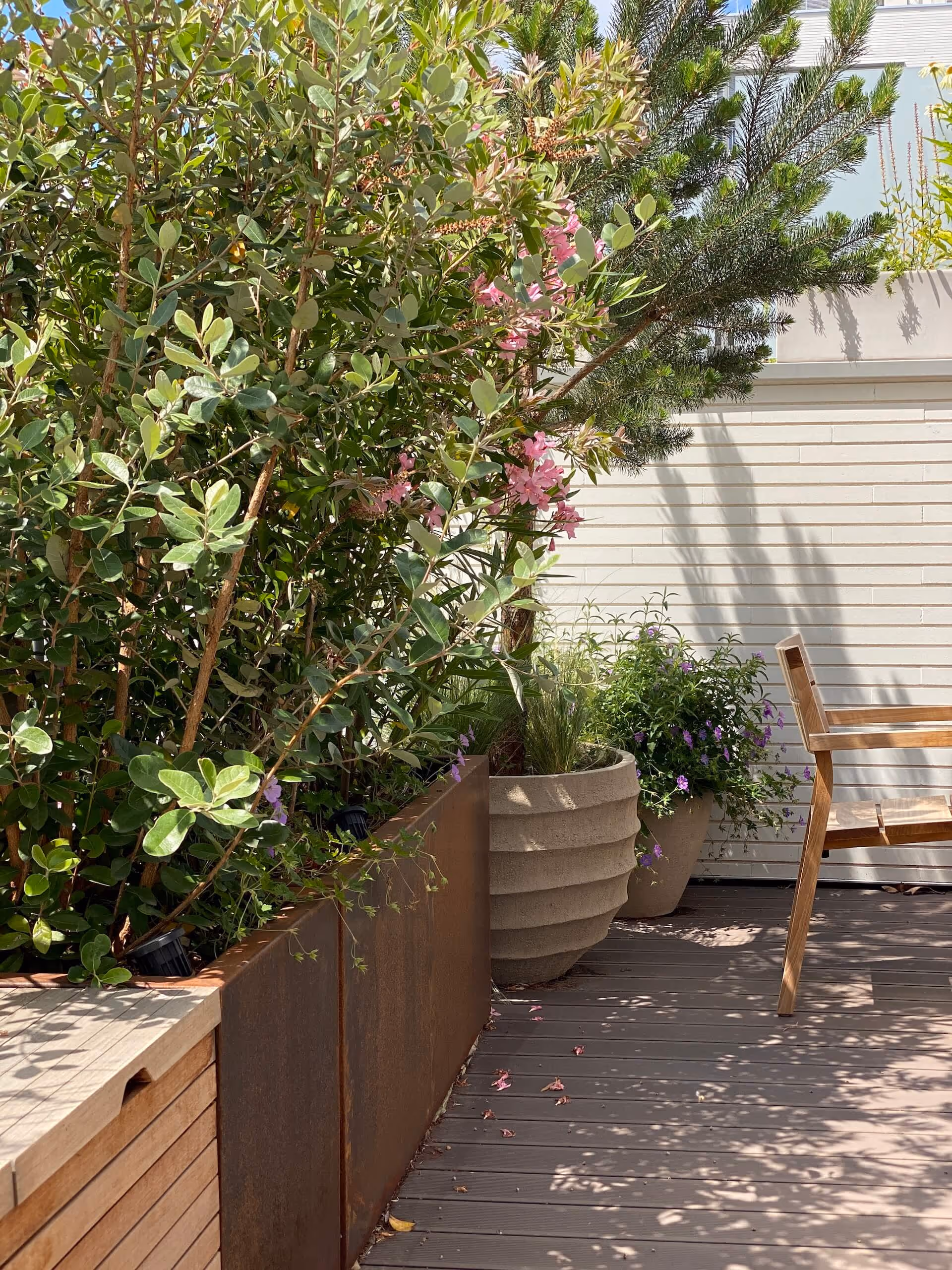 Sensations méridionales