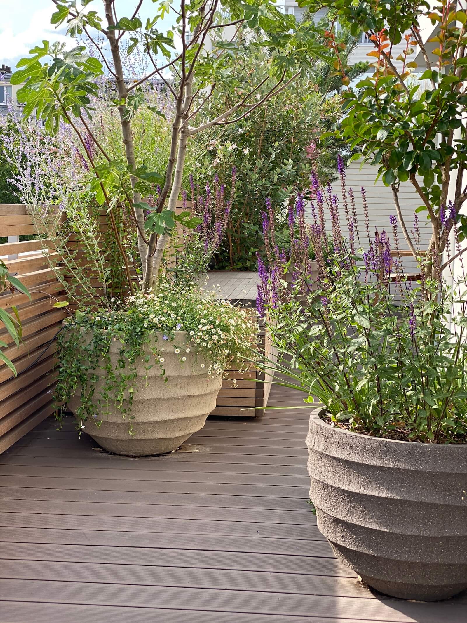 Sensations méridionales