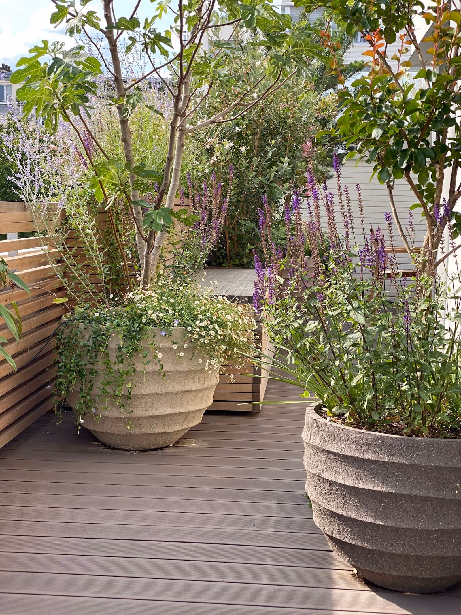 Sensations méridionales