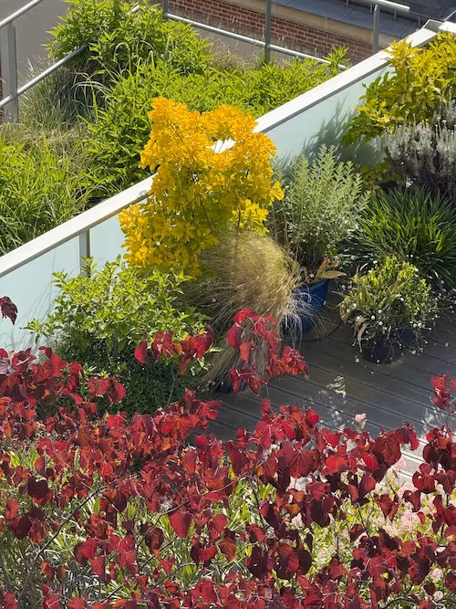 Perchoir du Cent-quatre