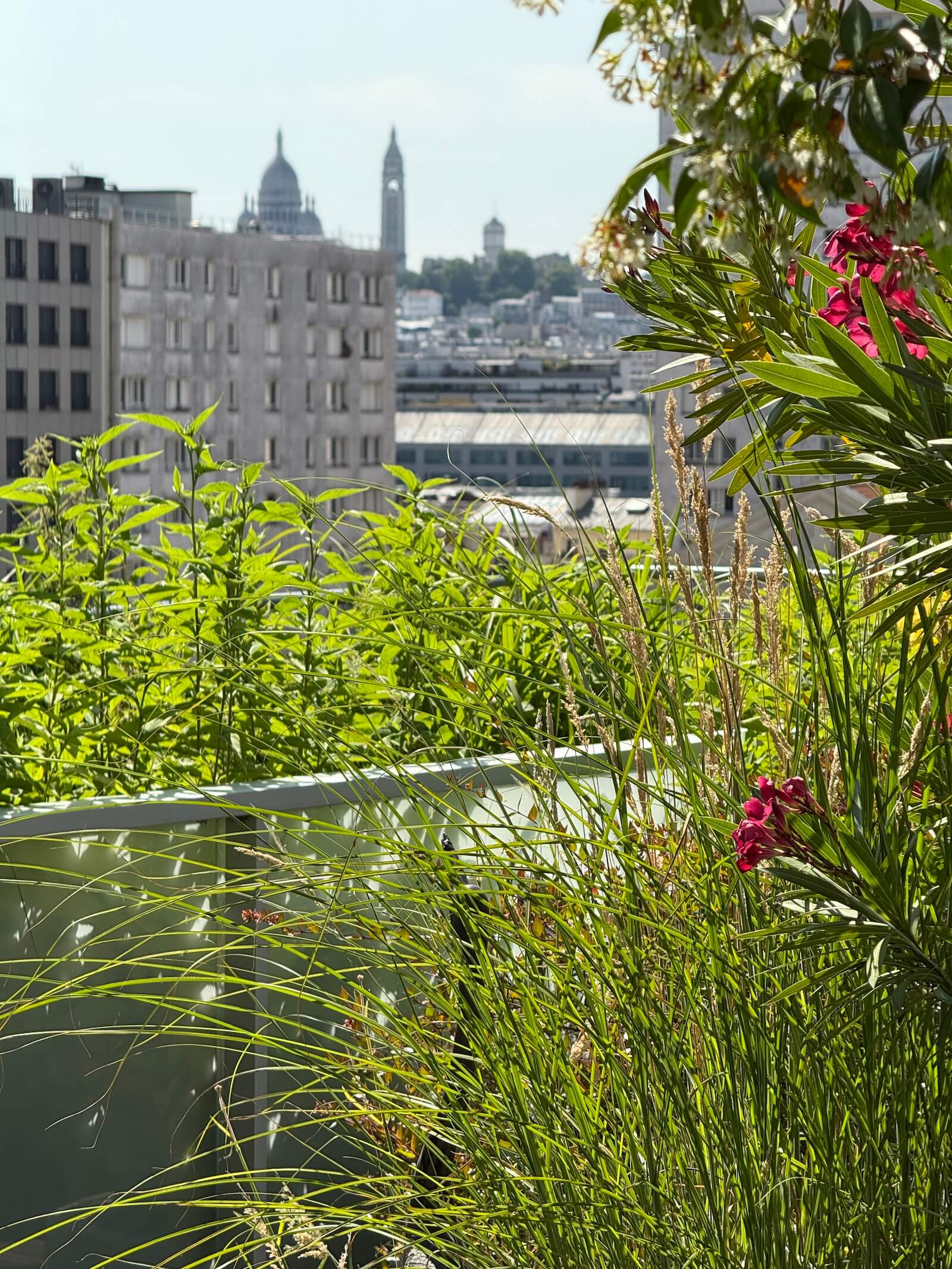 Perchoir du Cent-quatre