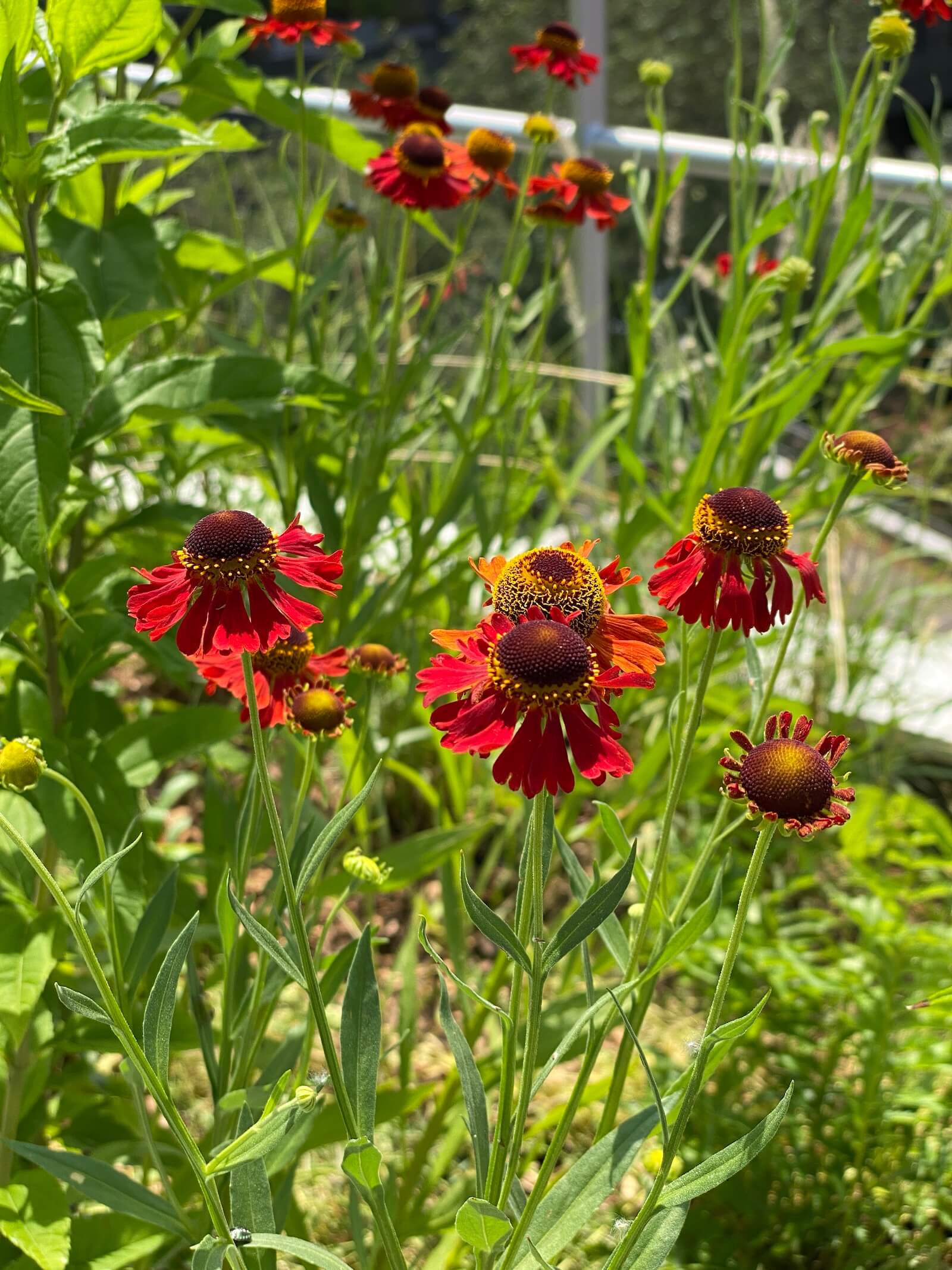 Perchoir du Cent-quatre