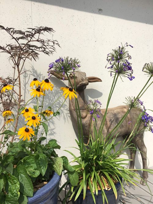 Perchoir du Cent-quatre