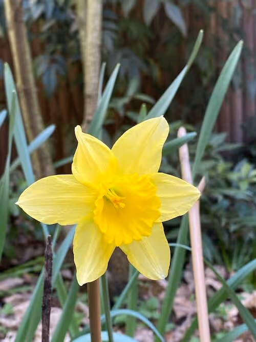 Camaïeux de verts à Porte Maillot