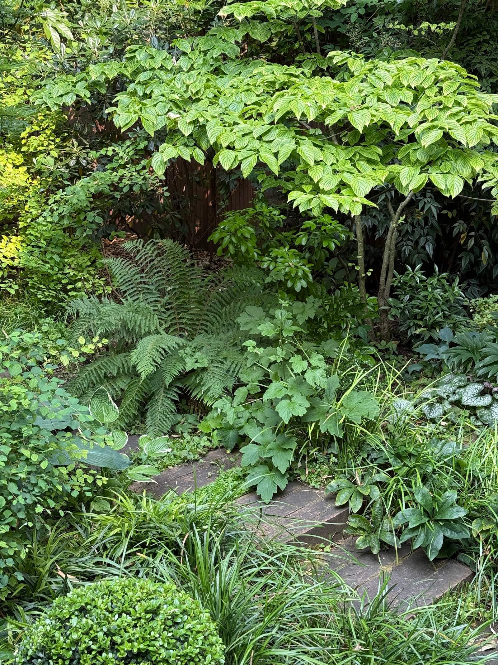 Camaïeux de verts à Porte Maillot