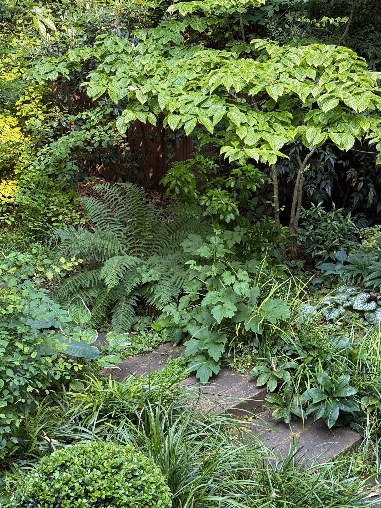 Camaïeux de verts à Porte Maillot