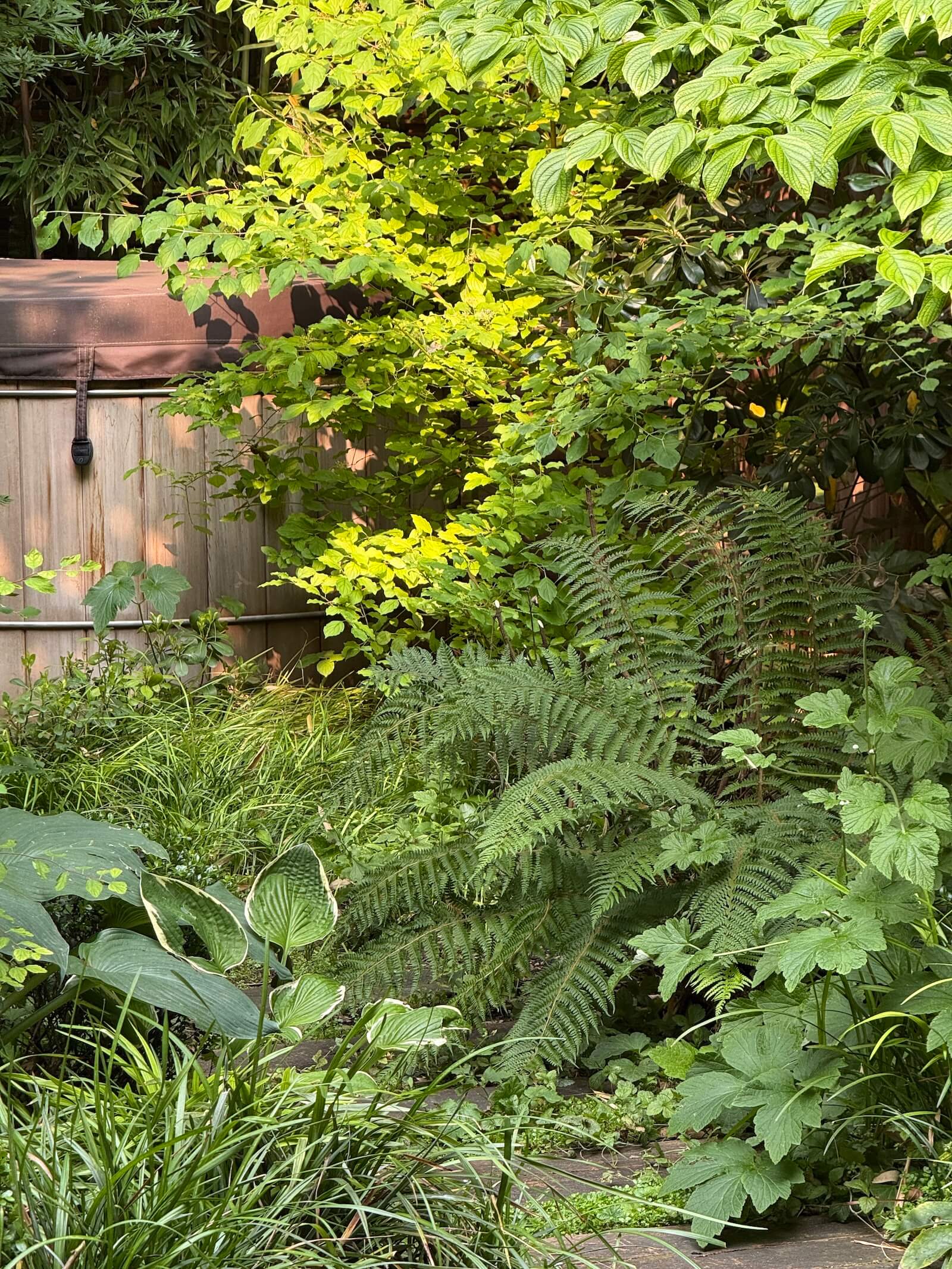Camaïeux de verts à Porte Maillot
