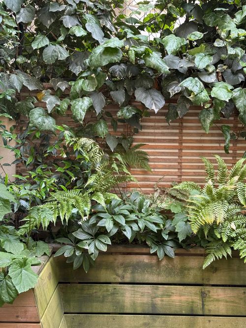 Camaïeux de verts à Porte Maillot