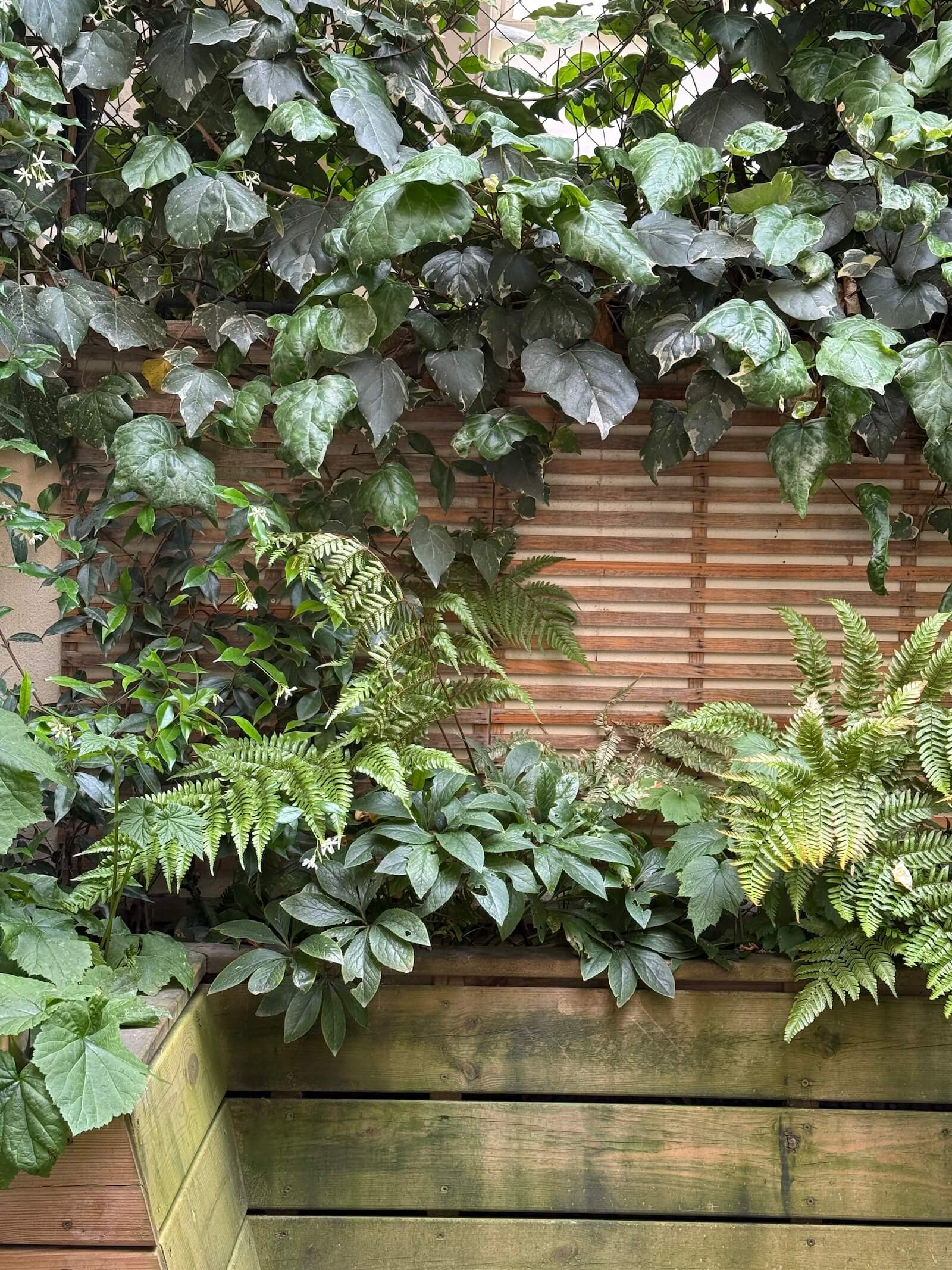 Camaïeux de verts à Porte Maillot