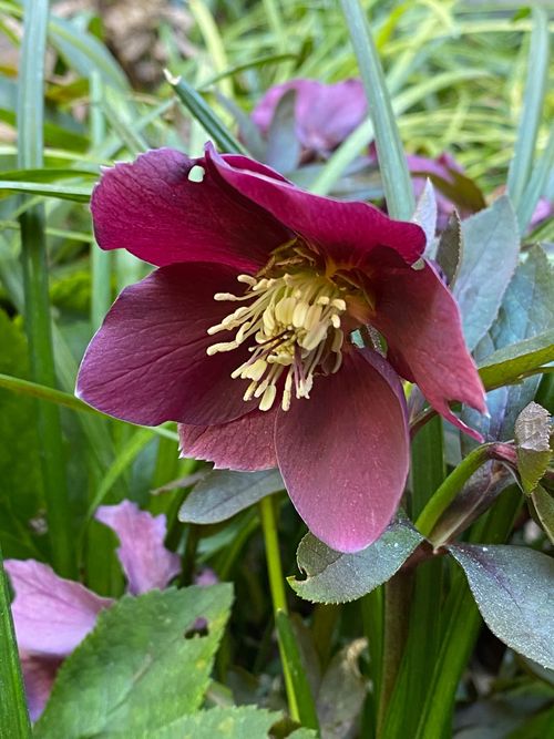 Camaïeux de verts à Porte Maillot