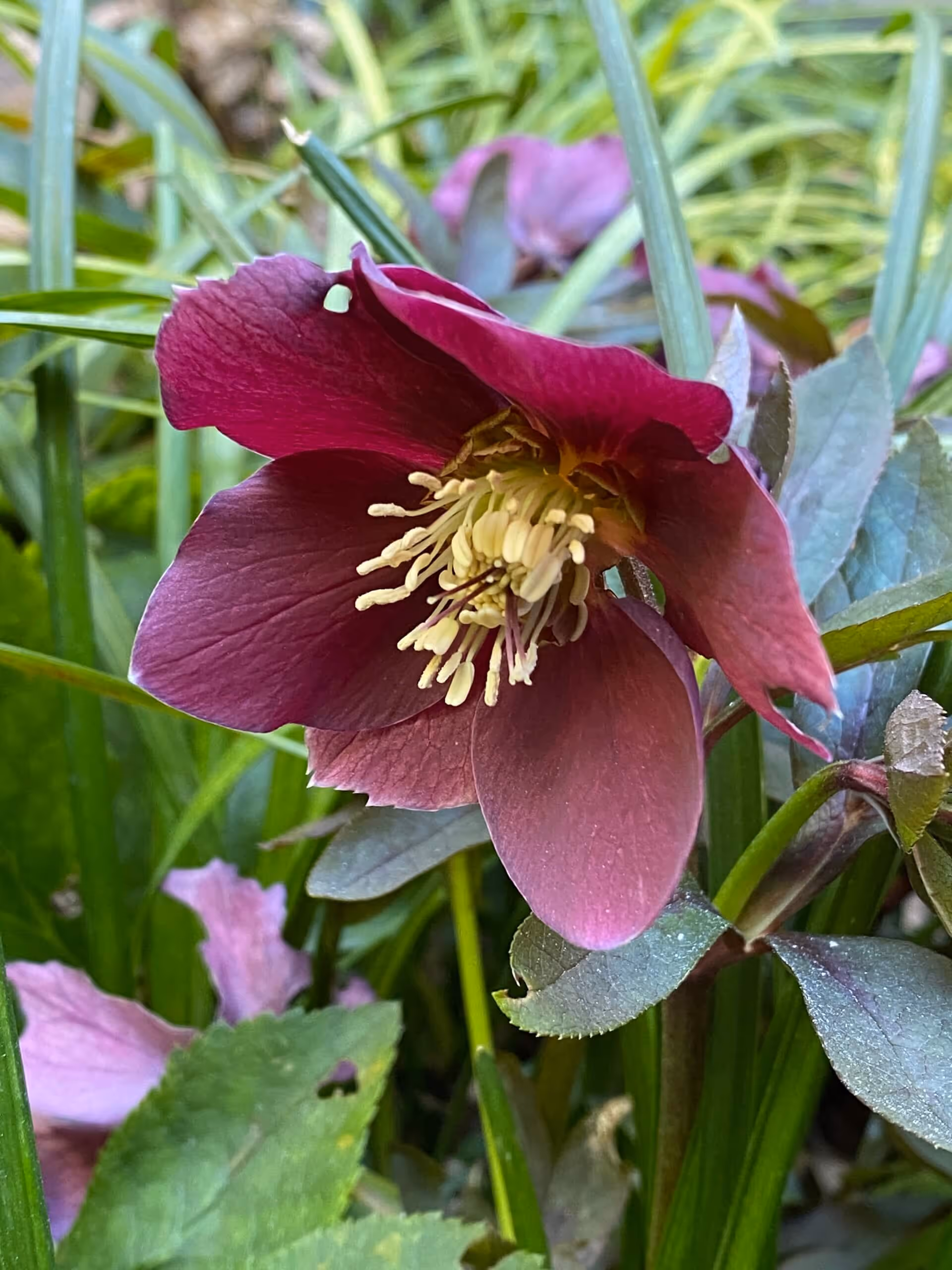 Camaïeux de verts à Porte Maillot