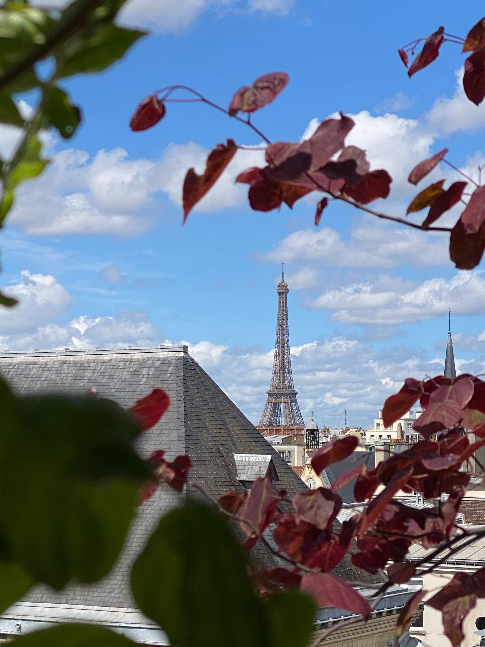 La terrasse de l'Abbé Grégoire