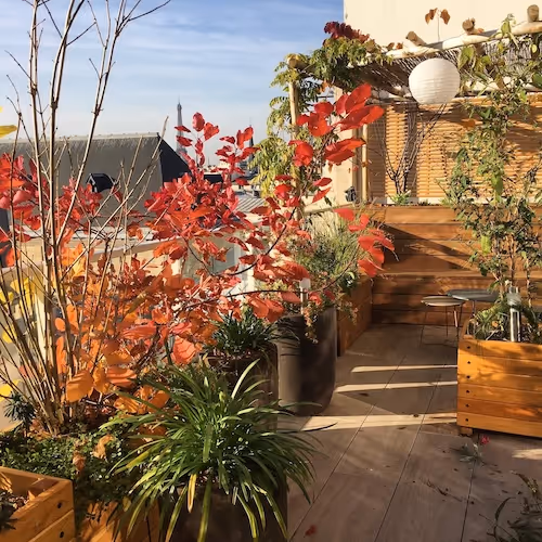 La terrasse de l'Abbé Grégoire