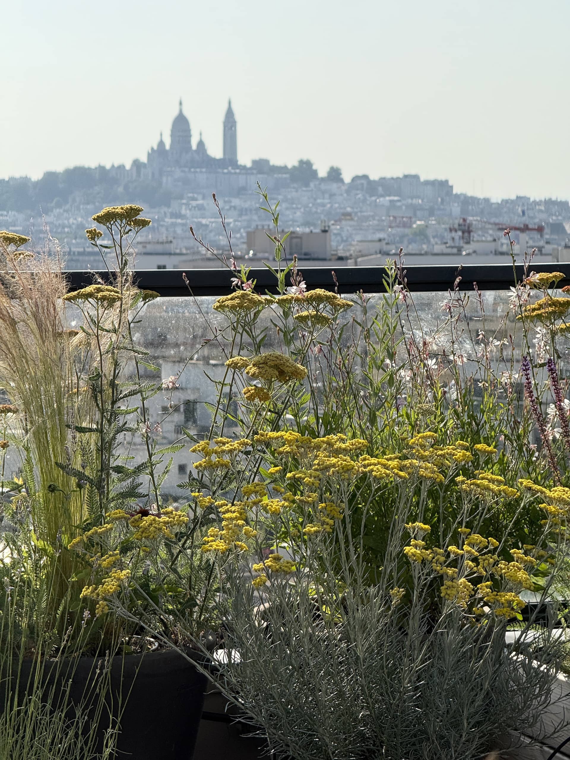 Accueil - logo article