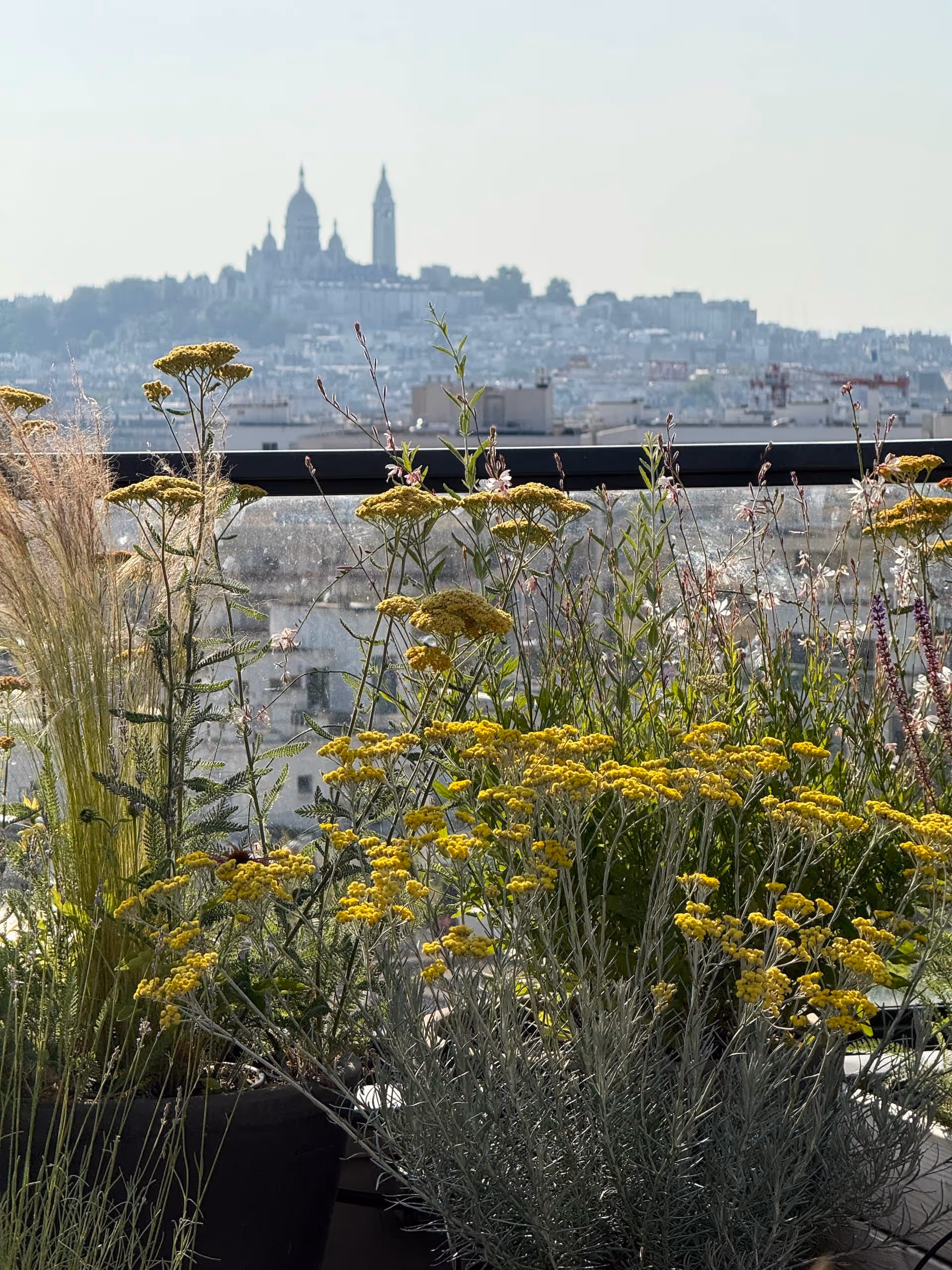 Accueil - logo article