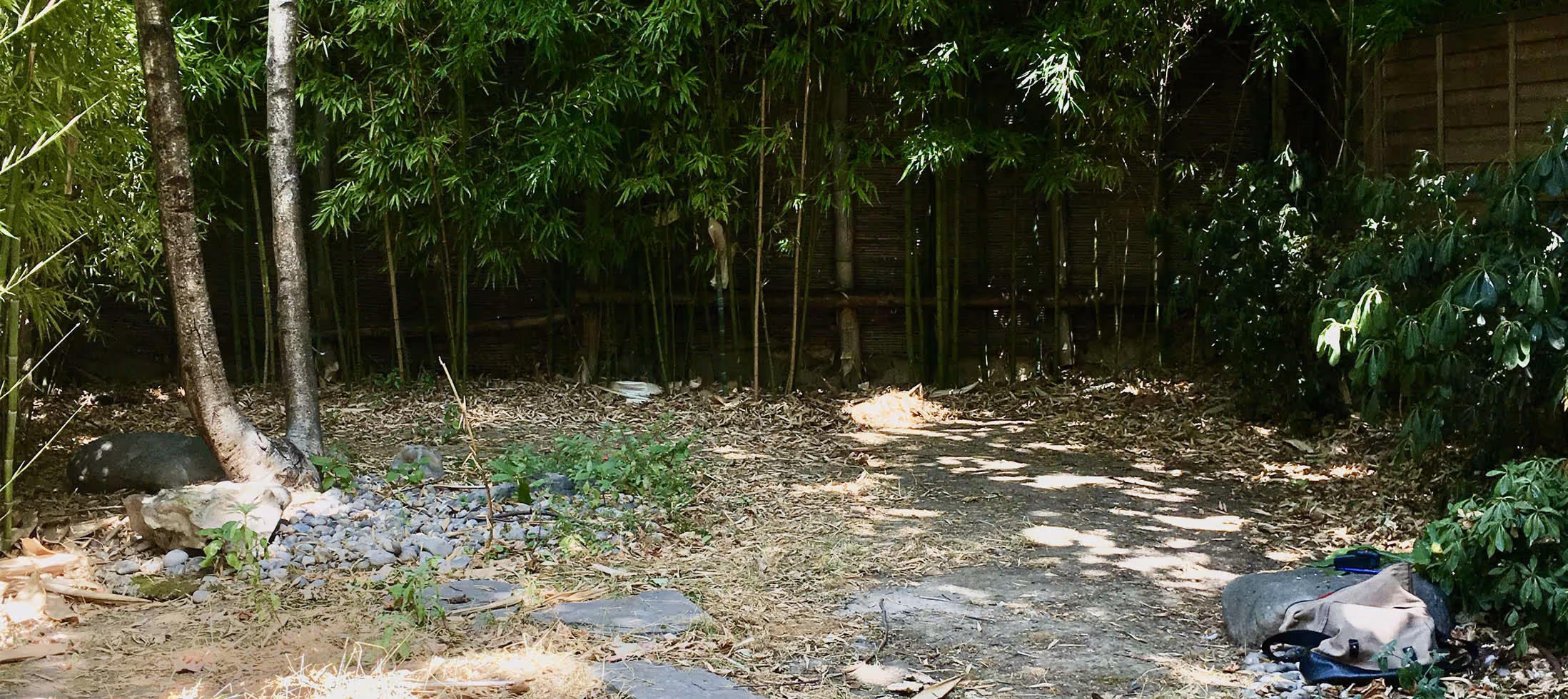Camaïeux de verts à Porte Maillot