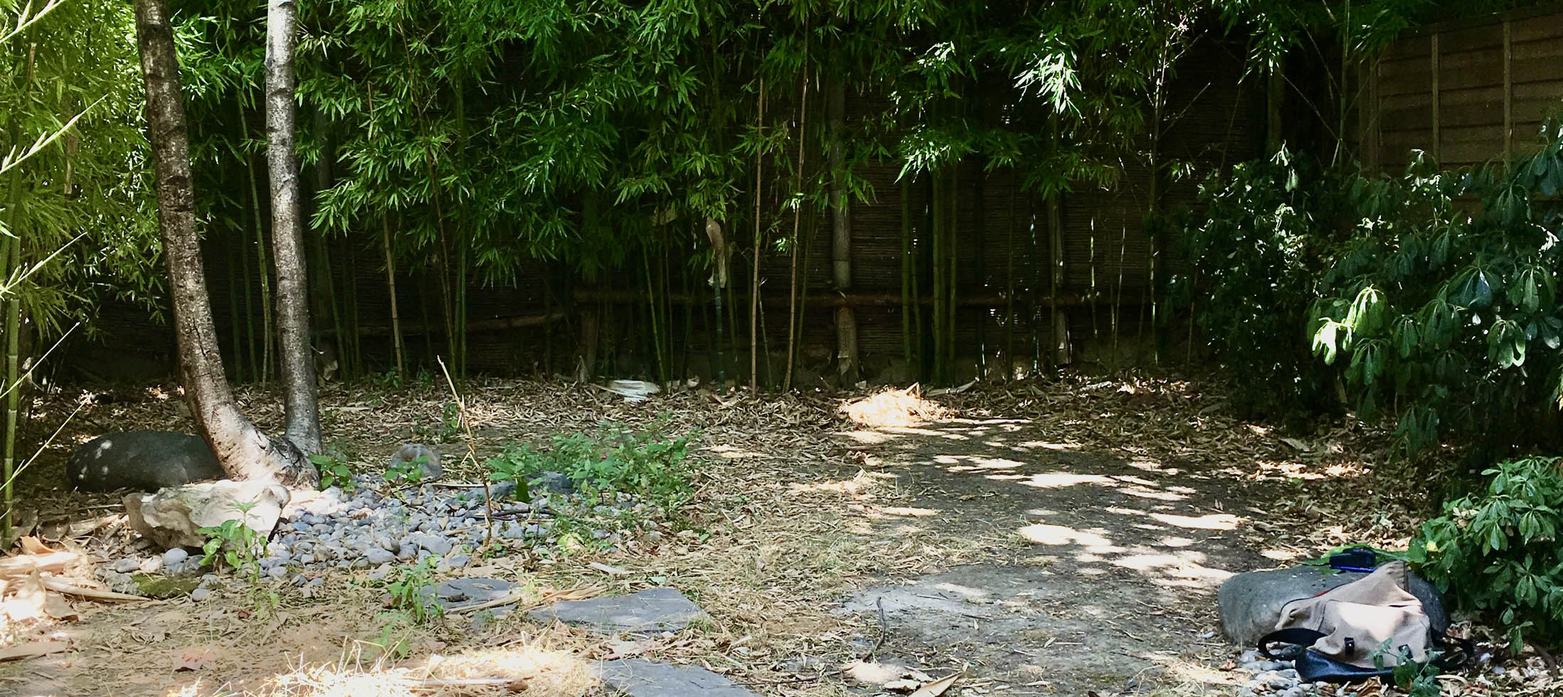 Camaïeux de verts à Porte Maillot
