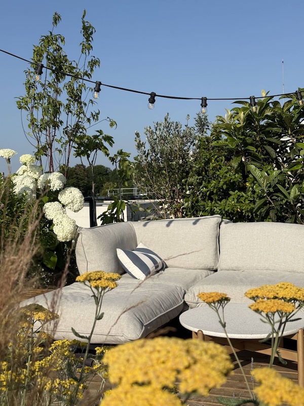 Sur le haut de la butte