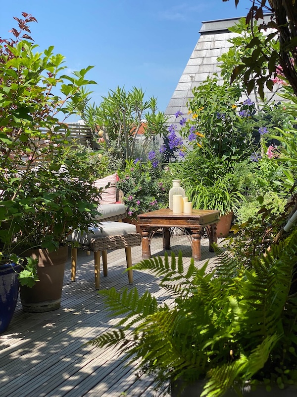 Lumières du couchant