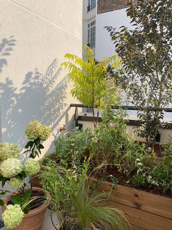 Terrasse Victor-Hugo