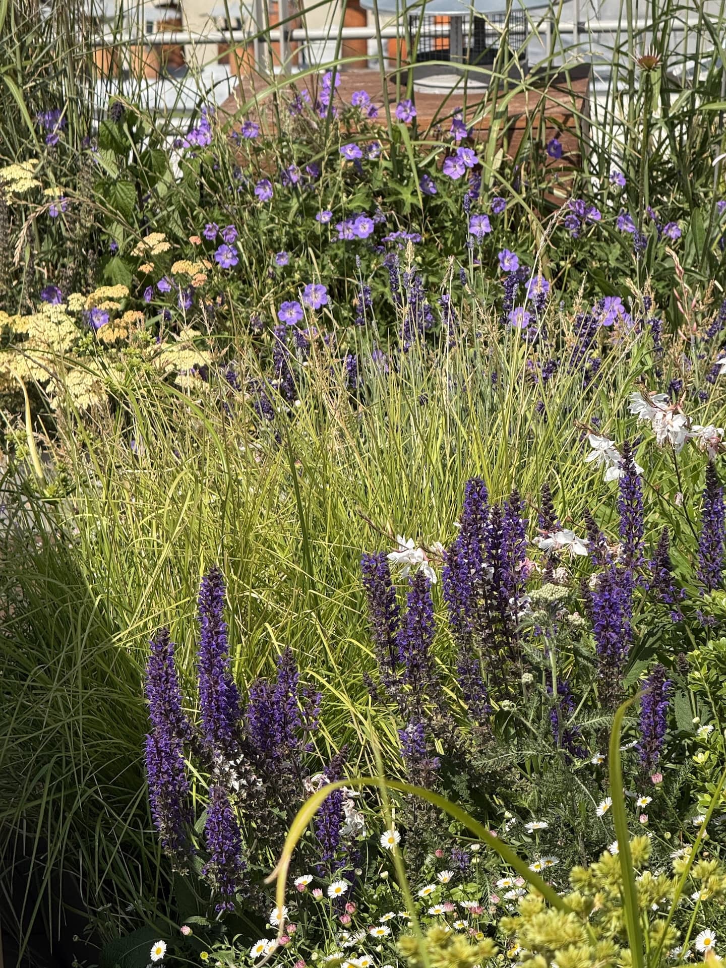 Campagne dans le ciel