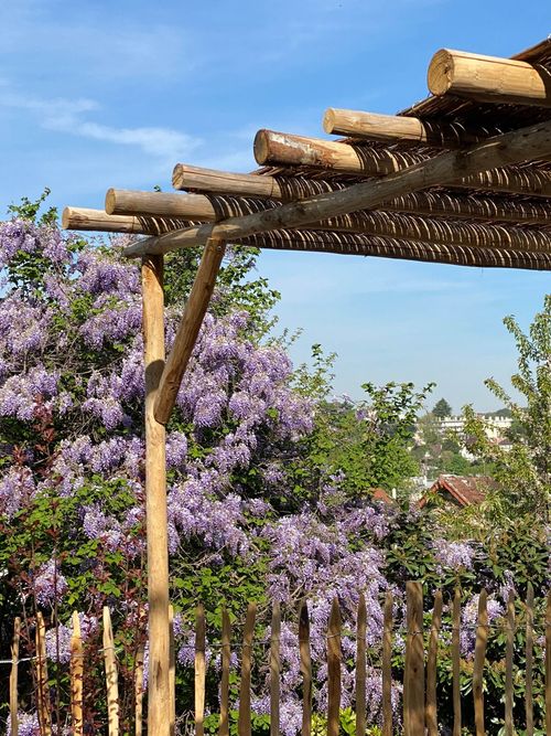 La clairière jardinée