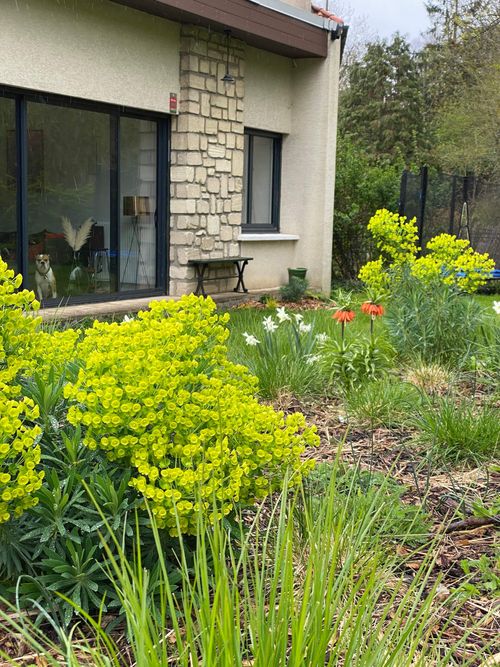La clairière jardinée