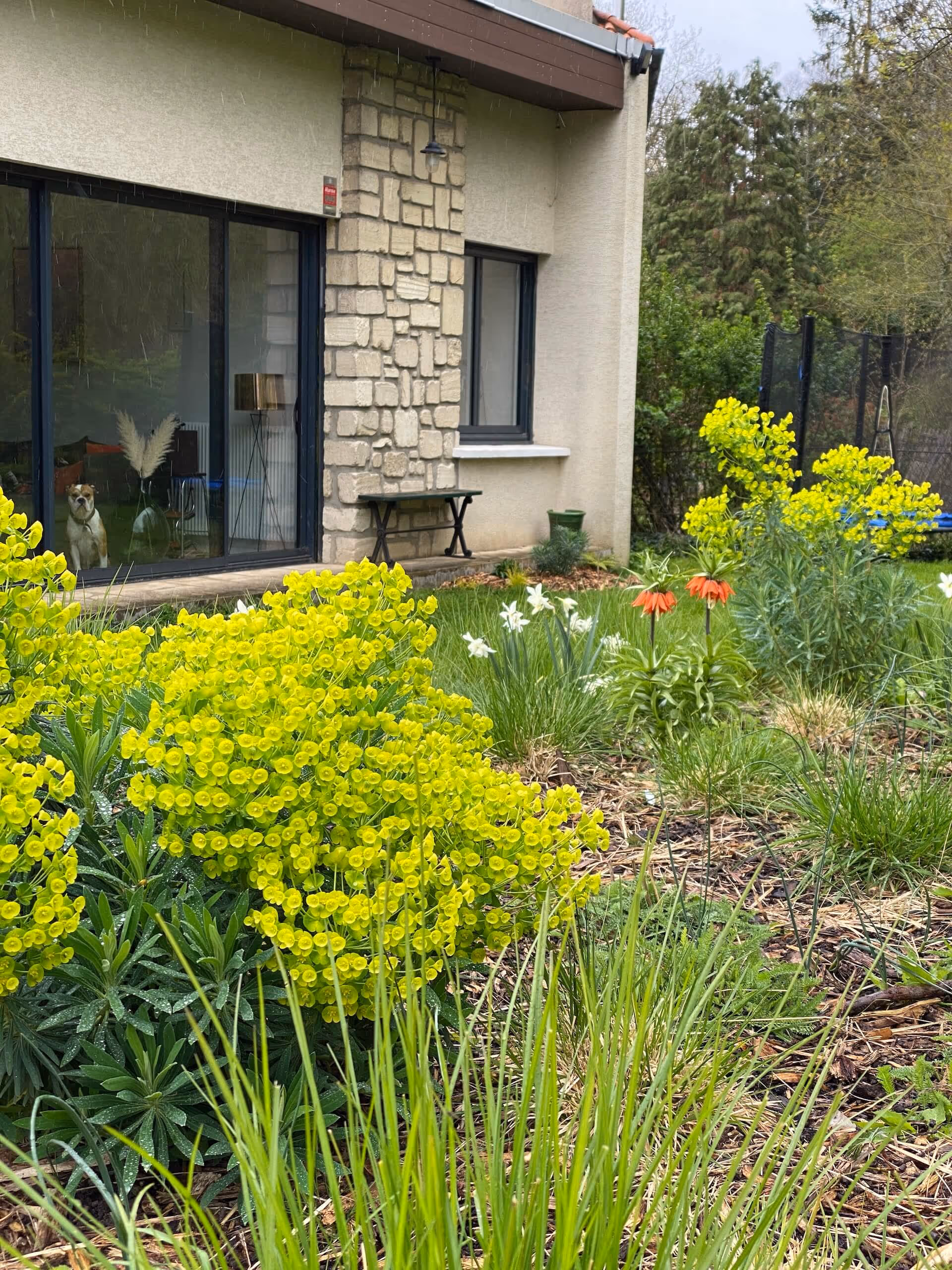 La clairière jardinée