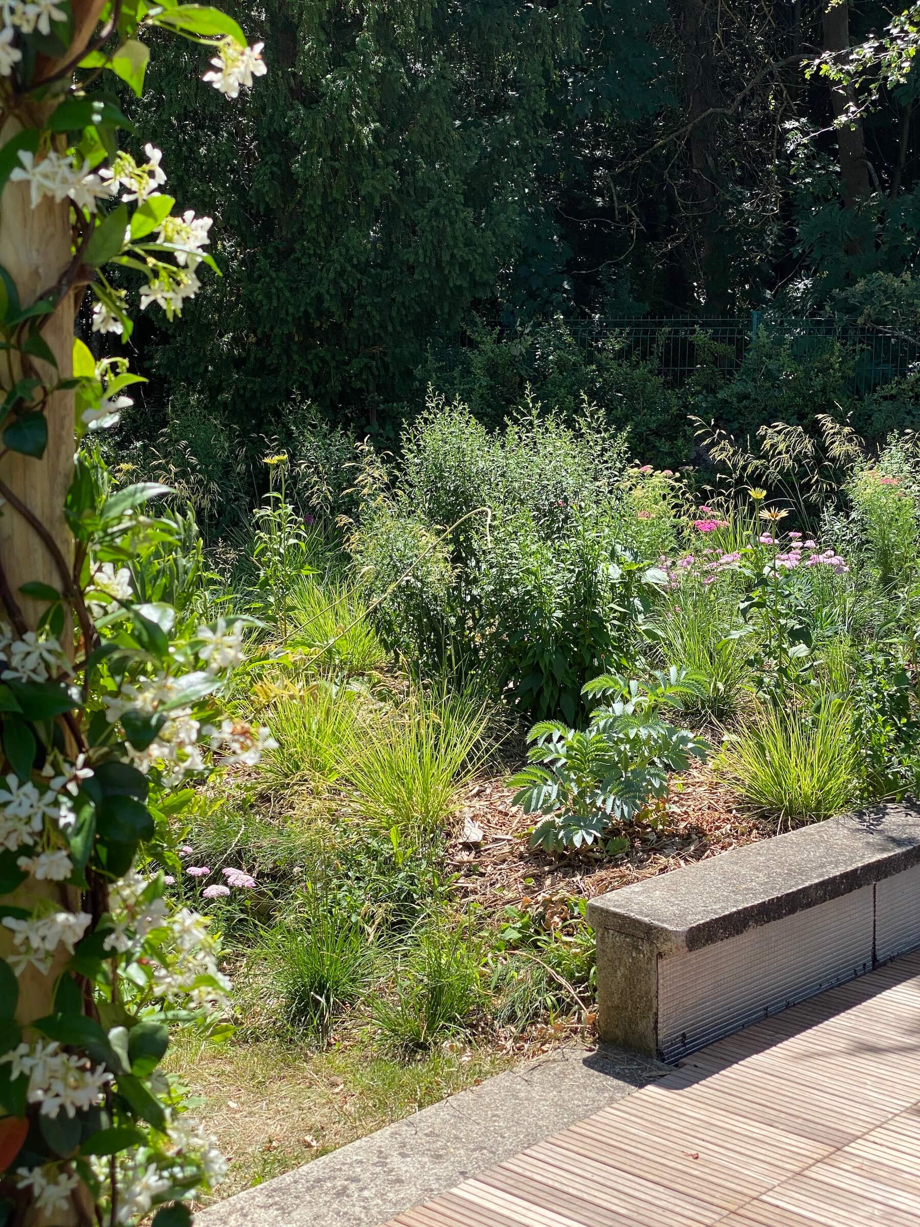 La clairière jardinée