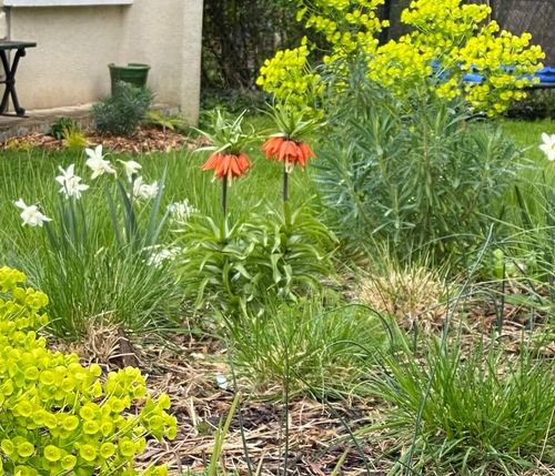 La clairière jardinée
