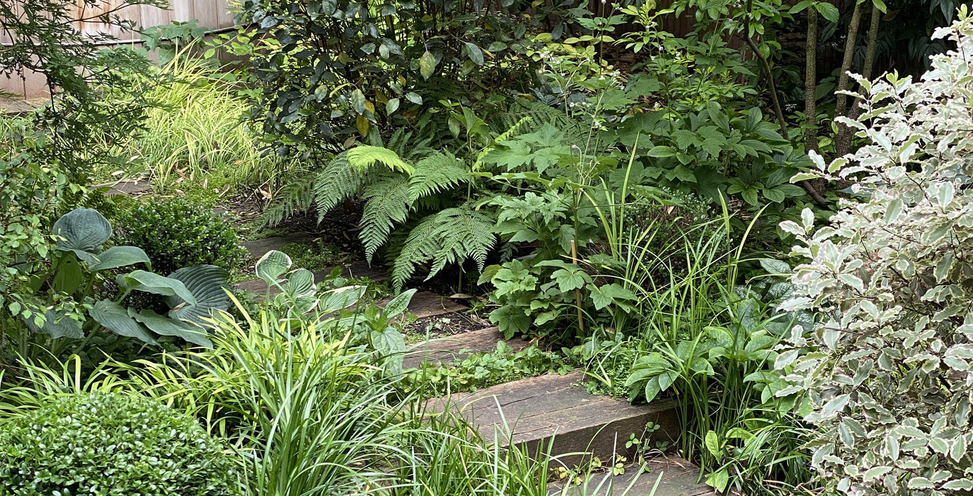 Camaïeux de verts à Porte Maillot
