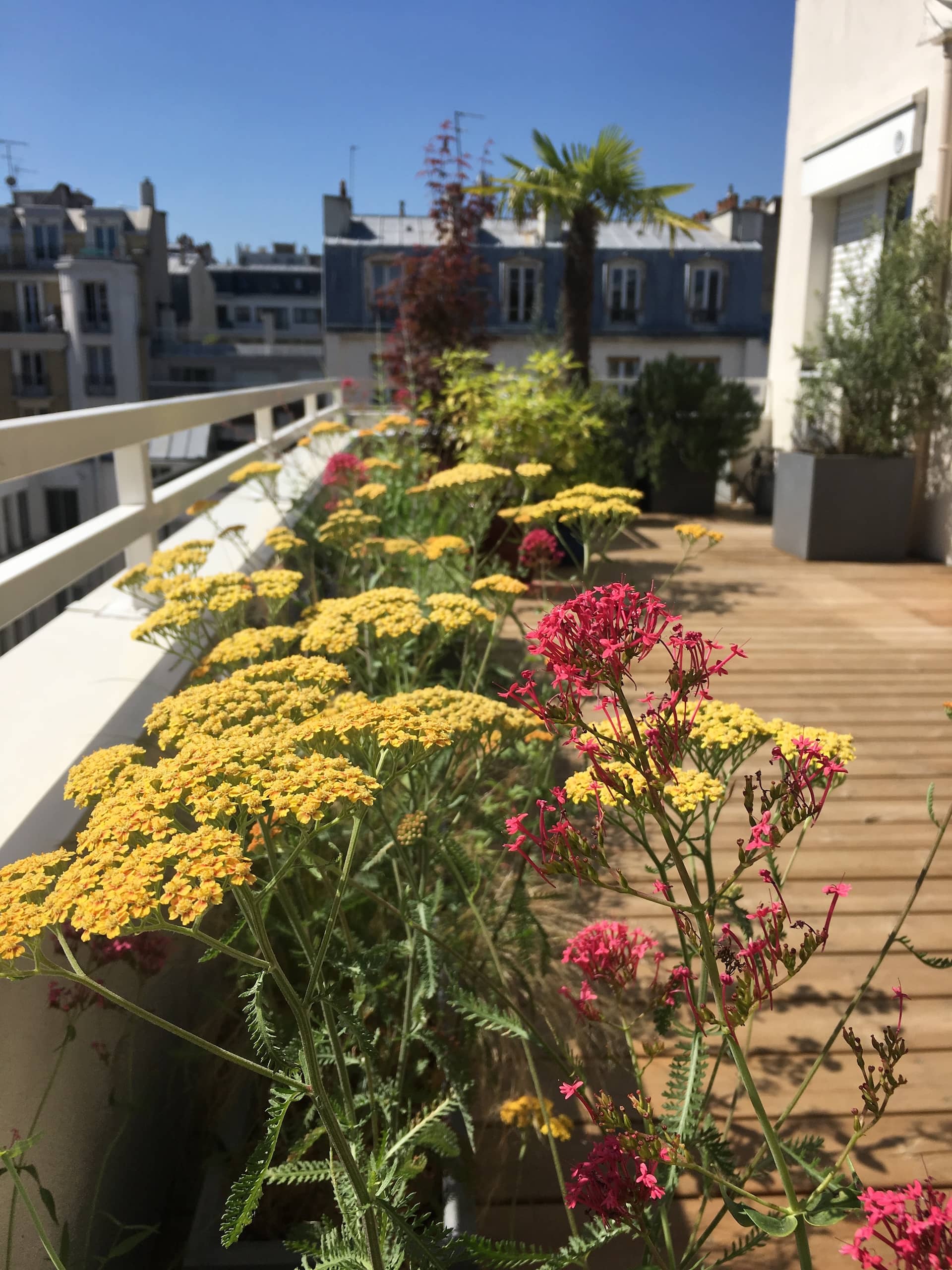 La vigie du Sacré-coeur