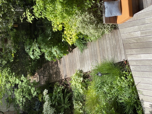 Les mémoires de Candilis