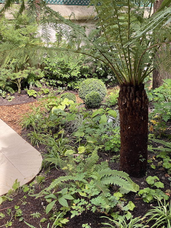 Clair-obscur aux Batignolles