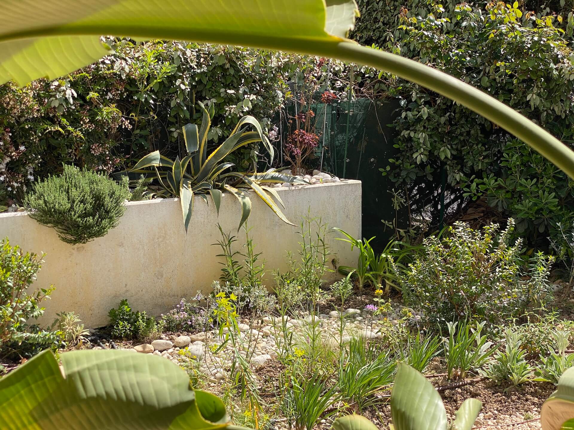 La garrigue en rez-de-jardin