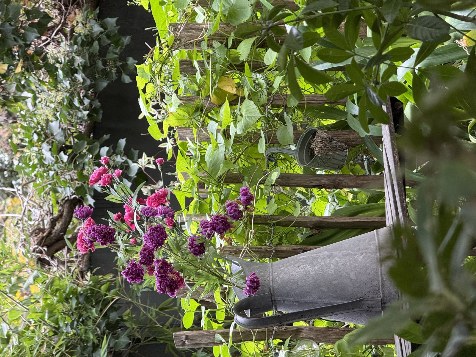 À l’orée du bois