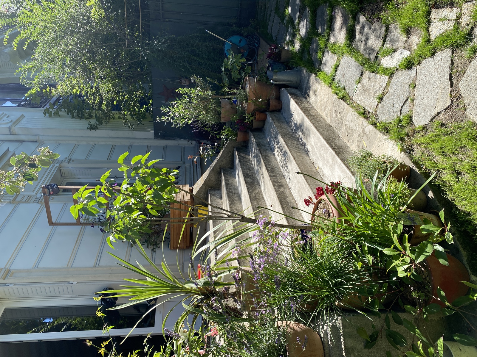 À l’orée du bois