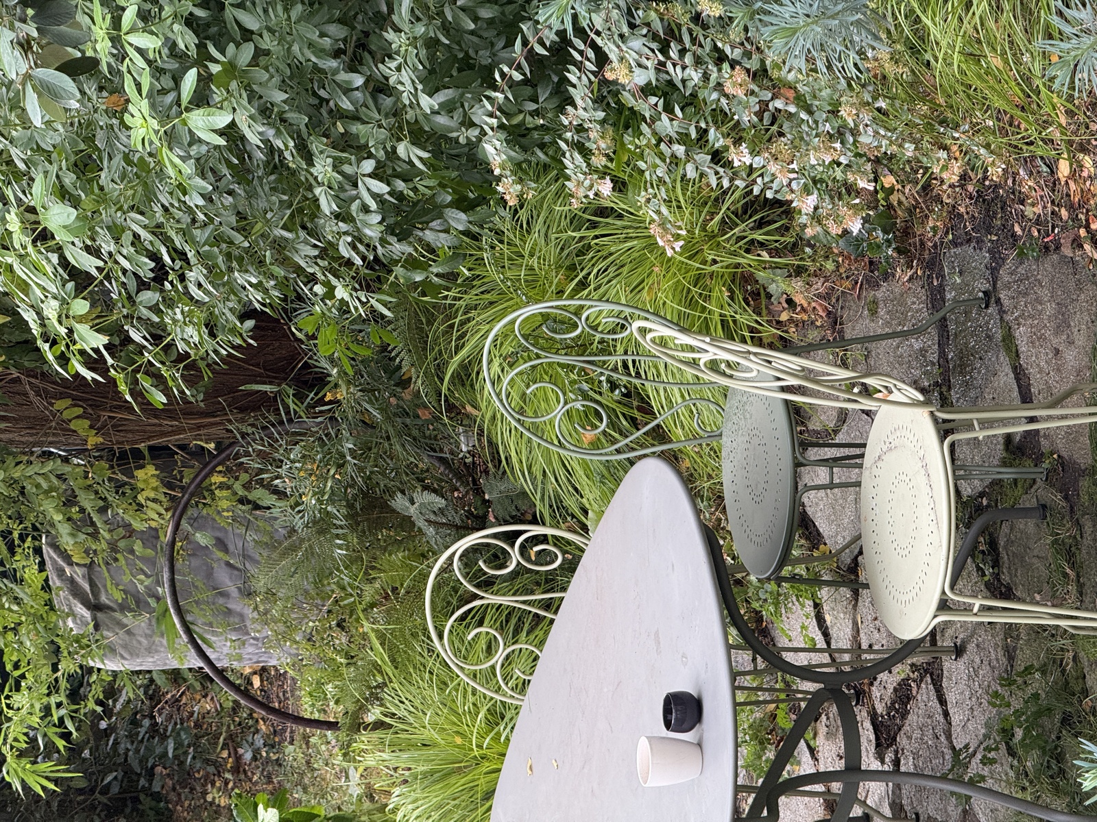 À l’orée du bois