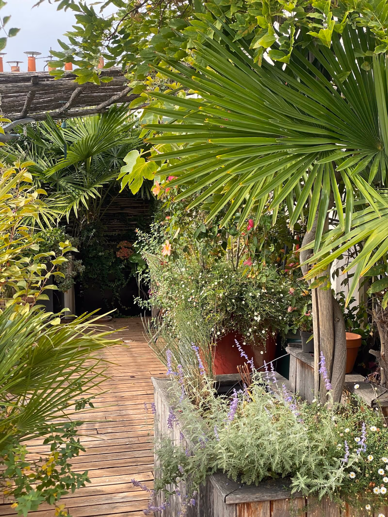 Juste en dessous du ciel