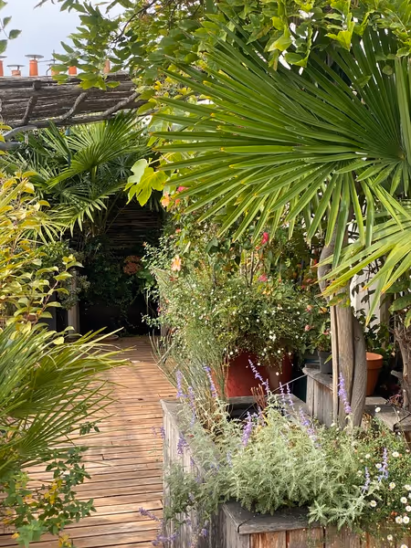 Juste en dessous du ciel