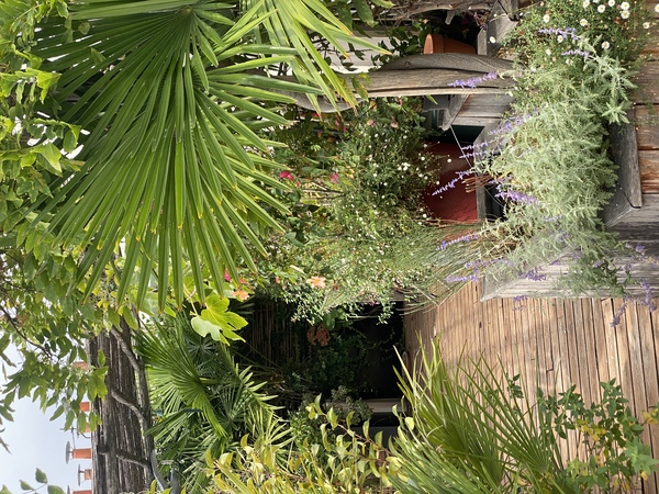 Juste en dessous du ciel