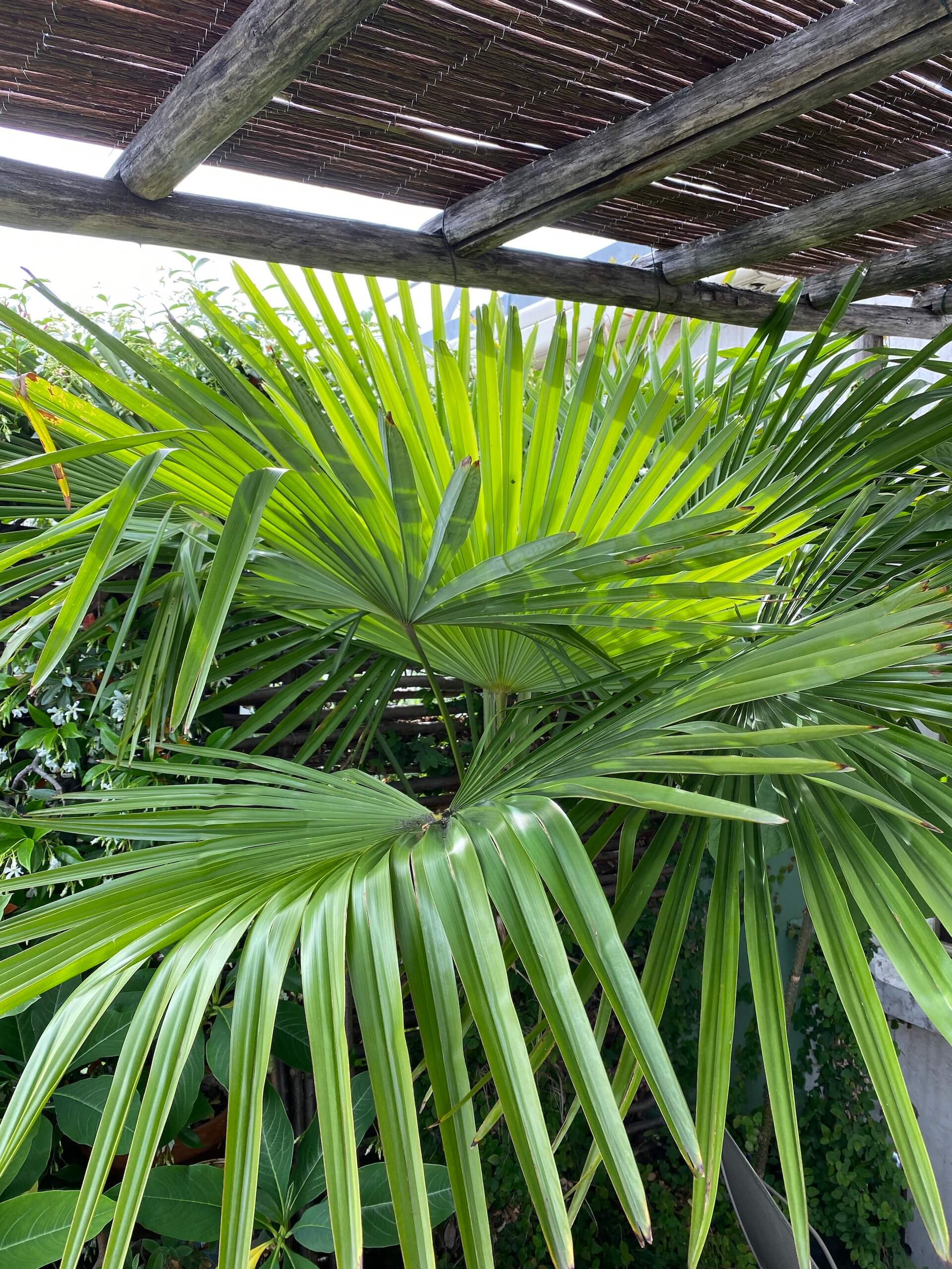 Juste en dessous du ciel